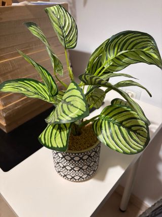 Planta artificial decorativa