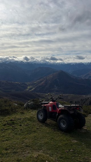 Quad