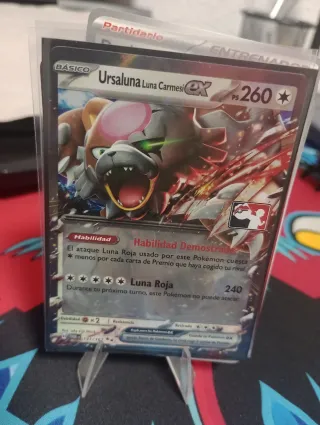 Lote cartas Pokémon de liga