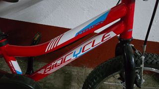 Bicicleta infantil 4-6 años
