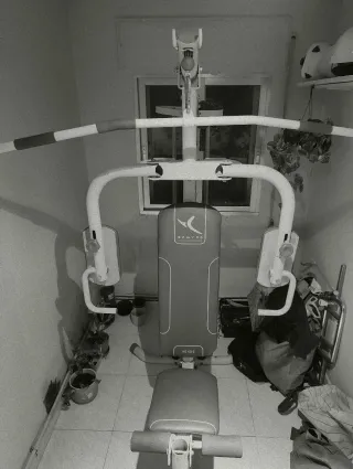 Lote Máquina Multifuncional Gimnasio