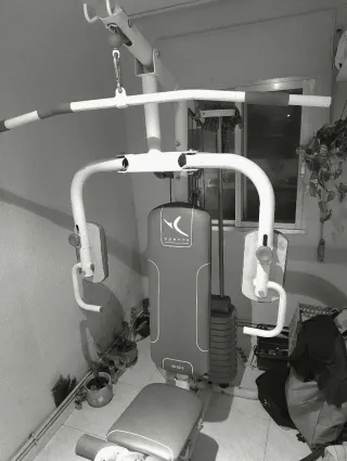 Lote Máquina Multifuncional Gimnasio