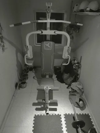 Lote Máquina Multifuncional Gimnasio