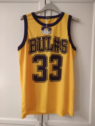 Camiseta Baloncesto Bulls 33 Hombre