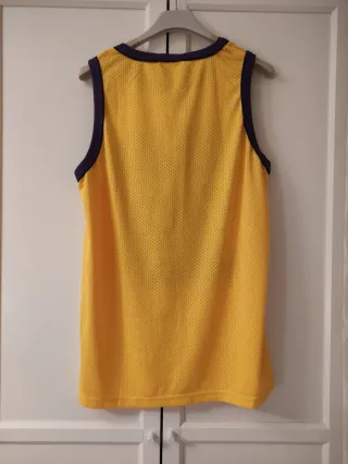 Camiseta Baloncesto Bulls 33 Hombre