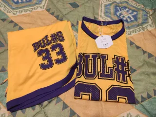 Camiseta Baloncesto Bulls 33 Hombre