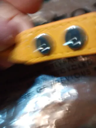 Cintura Liu Jo ecopelle elastico senape