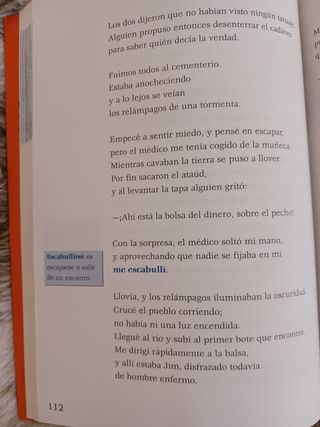 Libro HUCKLEBERRY FINN adaptado para lectura fácil