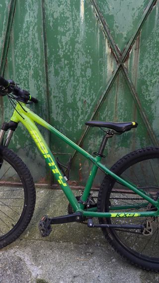 Bicicleta Monty verde y amarilla