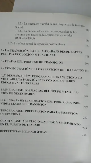 Orientación vocacional jóvenes con necesidades esp