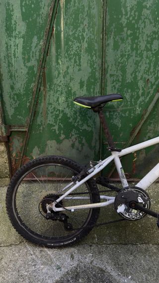 Bicicleta infantil blanca y verde