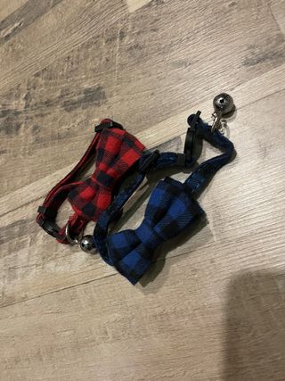 Collaretti per gatti con papillon