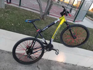 Bicicleta de montaña