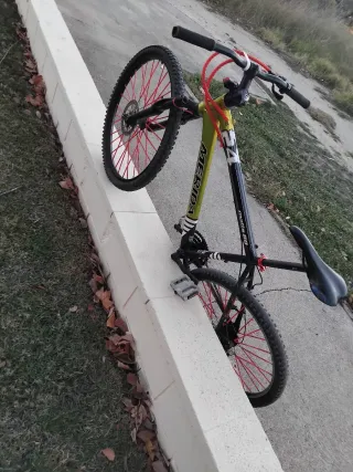 Bicicleta de montaña