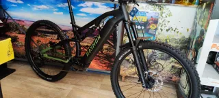 Bicicleta Eléctrica E-BIKE RAYMON