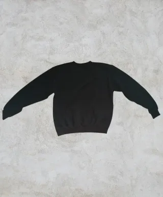 Felpa Champion Charlotte 49ERS Nera