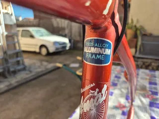 Cuadro MTB Amat tot terreny