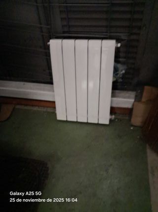 Caldera Ariston Cares S 24