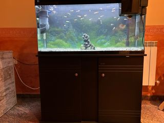 Acuario 120L con mueble