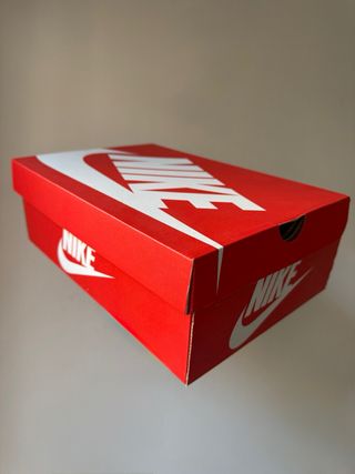 Nike Air Max Plus TN Rebellious Fireberry [45.5]