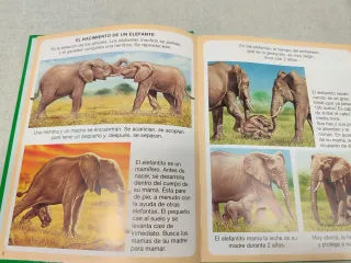 Diccionario por imagenes de la naturaleza / Nat...