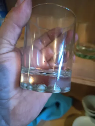 Set 6 bicchieri shot fondo verde