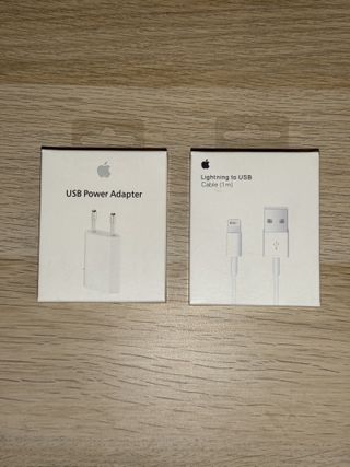 Caricatore iPhone + Cavo Usb-Lightning Originale