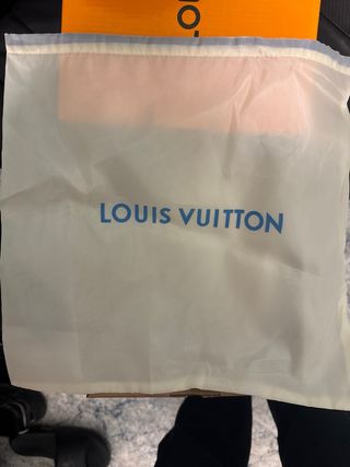 Zapatos Louis Vuitton Beige/Blanco