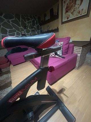 Bicicleta Spinning Fytter Red Milenium