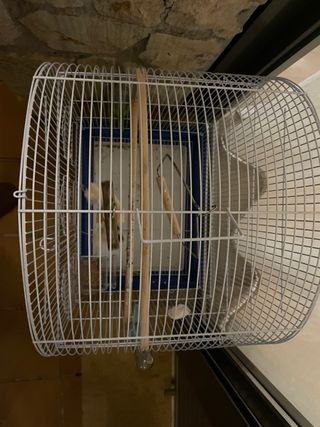 Jaula para pájaros/periquitos/agapornis