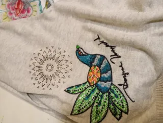 Camiseta Desigual manga larga