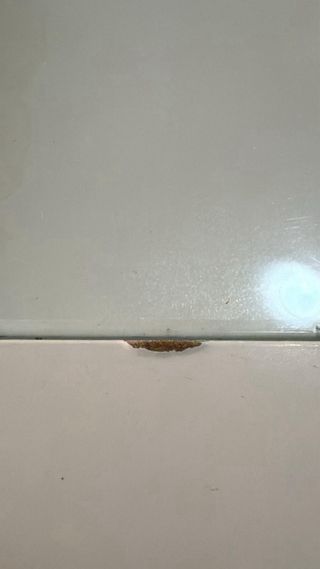 Mesa de centro salón cristal y madera