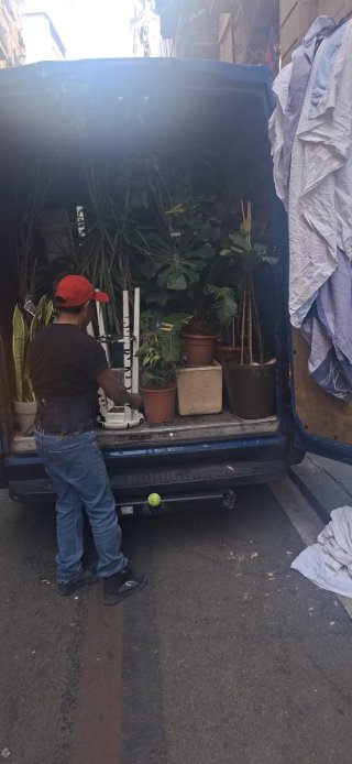 Mudanzas y portes (665086710!!)