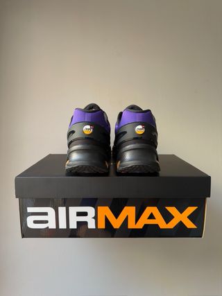 Nike Air Max DN8 Fierce Purple [46]