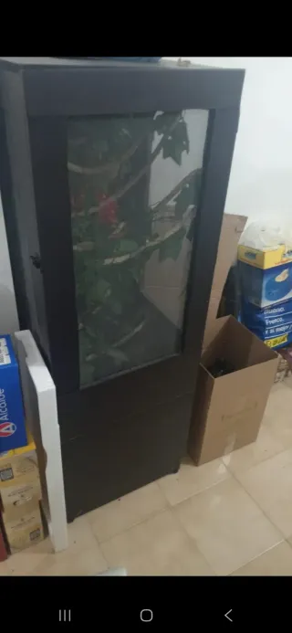 Terrario para camaleón