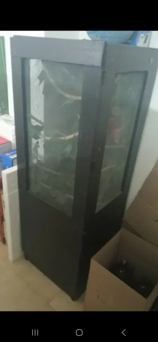 Terrario para camaleón