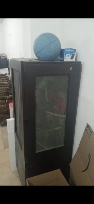 Terrario para camaleón