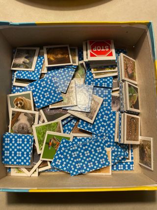 Memory Lisciani Il Mondo Degli Animali