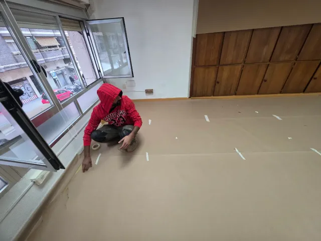 Pintor profesional en Madrid