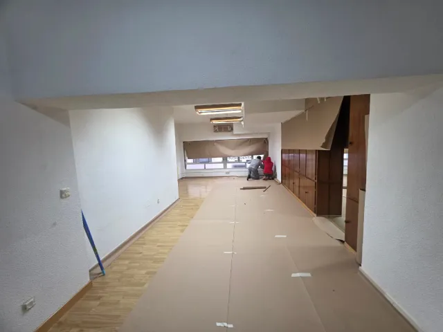 Pintor profesional en Madrid