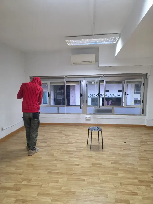 Pintor profesional en Madrid