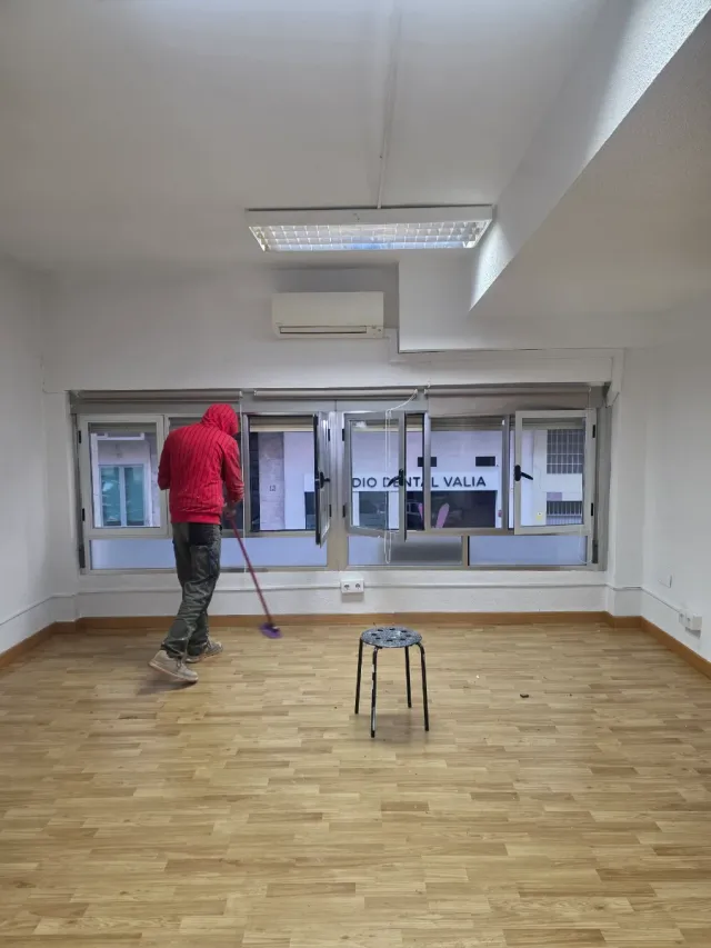 Pintor profesional en Madrid