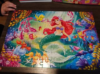 Lote puzzles princesas