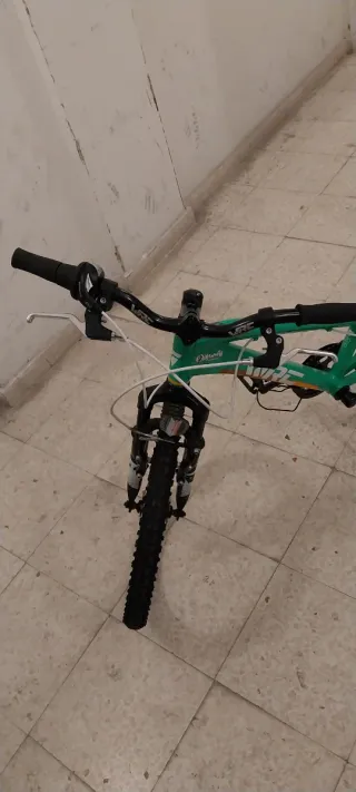 Bicicleta infantil verde WRF