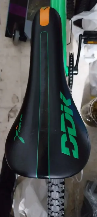 Bicicleta infantil verde WRF