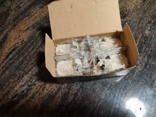 Posa macetas vaca blanco y negro