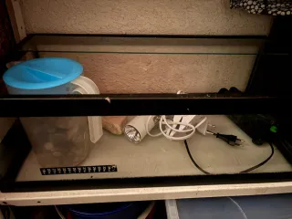 Tortuguera con accesorios