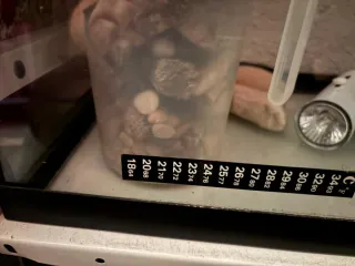 Tortuguera con accesorios