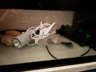 Tortuguera con accesorios