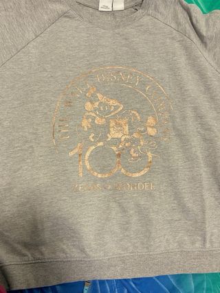 Felpa Disney 100 Anni Wonder Grigia Donna